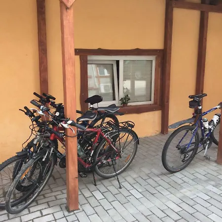 Zlata Lviv