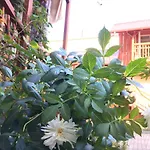 Hotel Zlata *